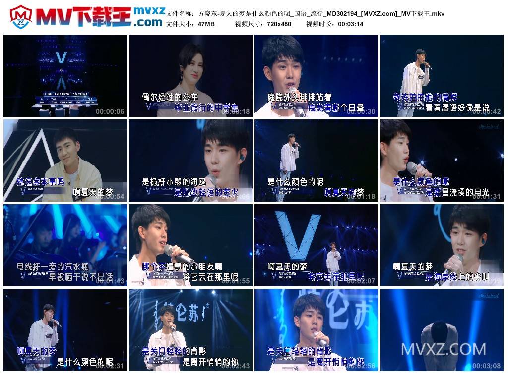 方晓东-夏天的梦是什么颜色的呢_国语_流行_MD302194